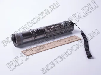 Электрошокер Скипетр-Лайт от магазина Bestshocker.ru
